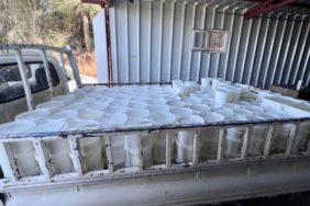 Hatay'da etiketsiz 2,3 ton süt ürünü imha edildi