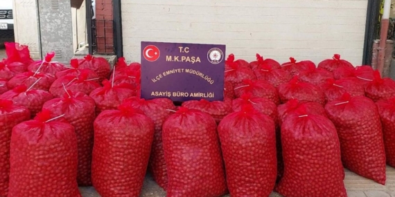 Hırsızlar çuval çuval cevizle yakalandı