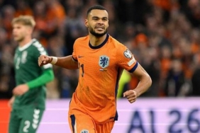 Hollanda evinde Litvanya'yı rahat geçti! İşte maçın özeti