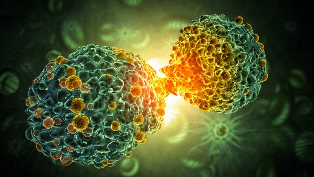 İleri Evre Akciğer Kanserinde Yaşam Süresini Artıran Yöntem!