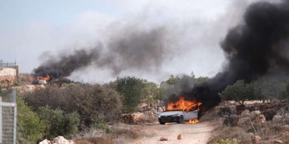 İşgalci İsrailliler, ordu koruması altında Filistinlilerin geçim kaynaklarını hedef alıyor