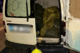 İstanbul'da yaklaşık 2,5 ton canlı midye ele geçirildi