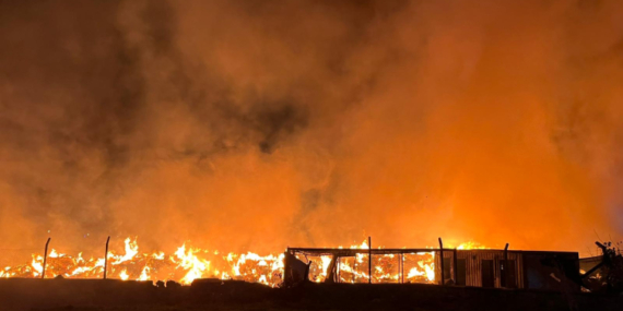 İzmir’de çöp depolama alanında yangın çıktı