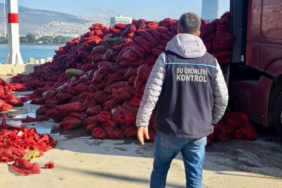 İzmir'de kaçak avlanan 27 ton midye ele geçirildi