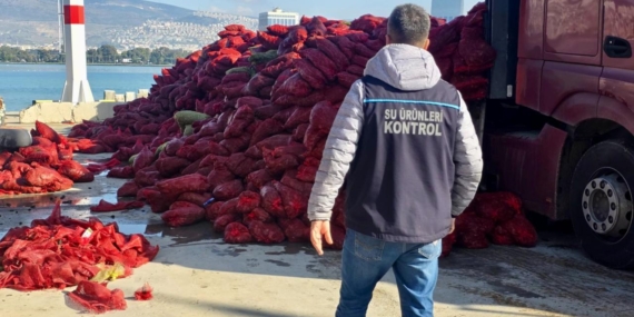 İzmir’de kaçak avlanan 27 ton midye ele geçirildi