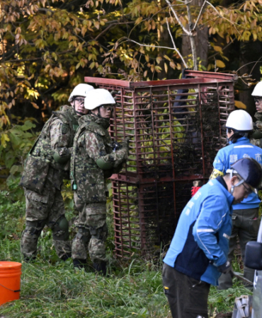 Japonya'da ayı tehlikesi: Ülkenin kuzeyine asker gönderilecek