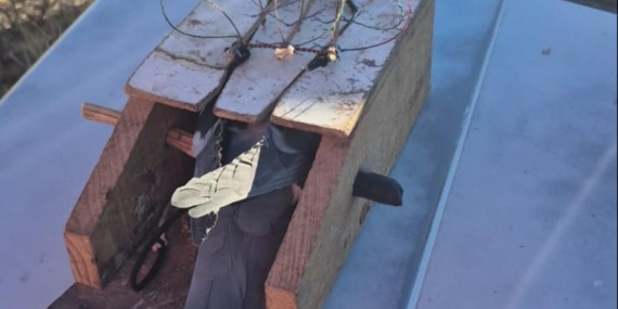 Kaçak şahin avlayan 2 kişiye 661 bin lira ceza