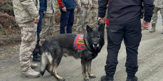 Kastamonu’da kayıp anne ve oğlunu arama çalışmaları 5. gününde