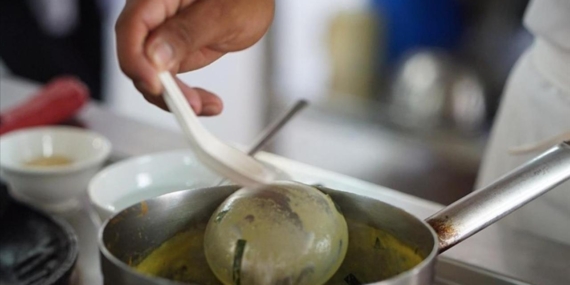 Kontrolsüz toplanan bitkiler ve sağlıksız toplu yemekler zehirlenme riskini artırıyor