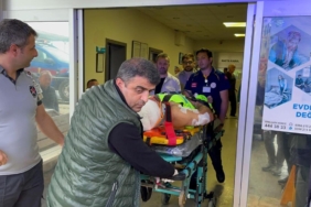 Mantar toplarken ayı saldırısına uğrayan köy imamı yaralandı