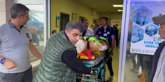 Mantar toplarken ayı saldırısına uğrayan köy imamı yaralandı