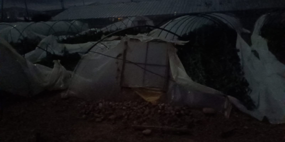 Mersin’de hortum: Seralar zarar gördü