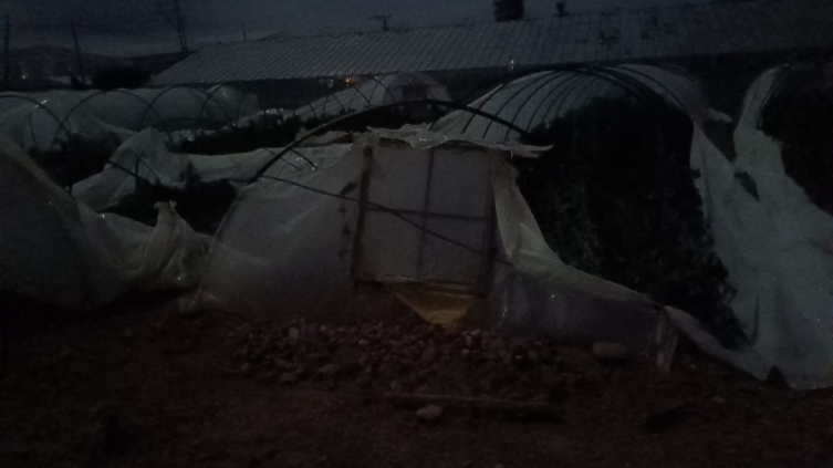 Mersin'de hortum: Seralar zarar gördü