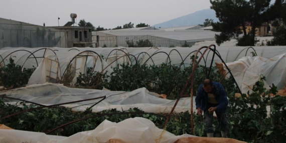 Mersin’deki hortumda 30 sera zarar gördü