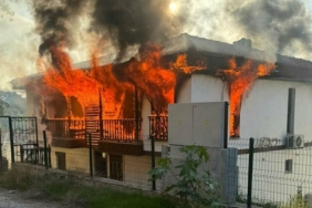 Muğla Gökova'yı birbirine katan saldırgan vuruldu: Evleri ateşe verdi, jandarmaları bıçakladı