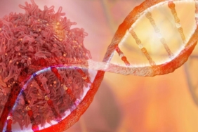 Ölümcül hastalıkların gizemi çözüldü