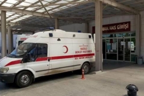 Ormandan topladıkları mantar zehirledi