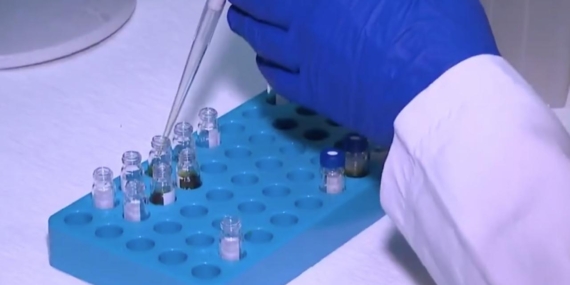 Pestisit kalıntılarının maksimum limitlerine ilişkin esaslar düzenlendi