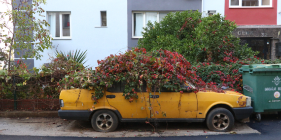 Sahibi vefat edince park edildi, 8 yılda adeta ‘kök saldı’