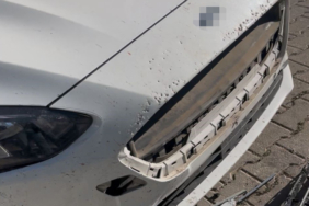 Sivas'ta başıboş köpekler otomobile 108 bin liralık zarar verdi