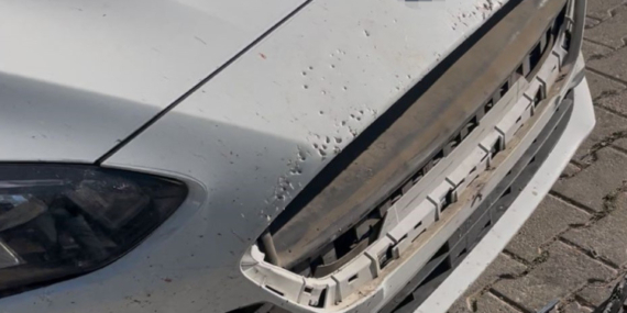 Sivas’ta başıboş köpekler otomobile 108 bin liralık zarar verdi