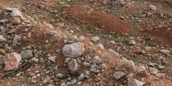 Suriye’nin Humus ilinde dört toplu mezar bulundu