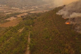 Suriye'nin Lazkiye bölgesindeki yangın kontrol altına alınarak söndürüldü