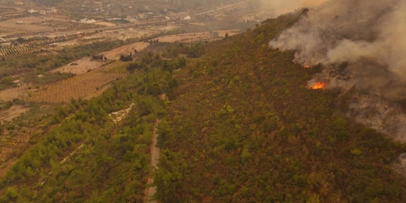 Suriye’nin Lazkiye kırsalındaki orman yangınına müdahale ediliyor