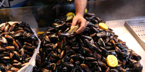 Tarım Bakanlığı’ndan sokak lezzetlerine sıkı takip