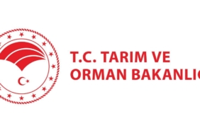 Tarım ve Orman Bakanlığı şap hastalığının kontrol altına alındığını açıkladı