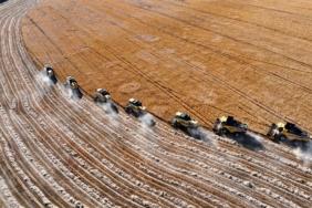 Tarımsal girdi fiyat endeksi eylülde arttı