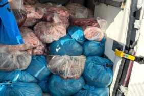 Tekirdağ'da 2 ton sakatat ele geçirildi
