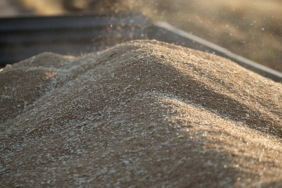 TİGEM 2 bin ton buğday satacak