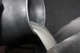 TİGEM, ihaleyle 74 bin 665 ton inek sütü satacak