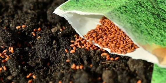 Türkiye 100’den fazla ülkeye tohum ihraç ediyor