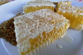 Türkiyenin AB tescilli coğrafi işaret sayısı 43e yükseldi