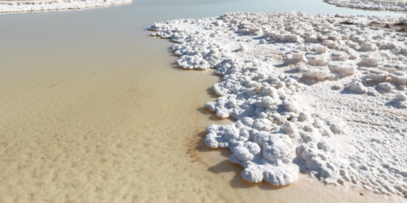 Tuz Gölü’nde kırmızı alarm: 90 yılda yüzde 85 küçüldü