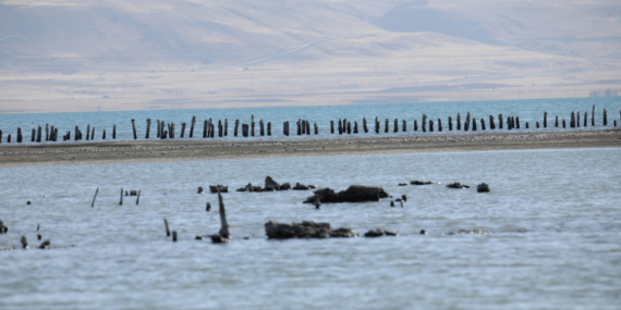 Van Gölü’nün çekilmesiyle asırlık iskelenin ayakları ortaya çıktı