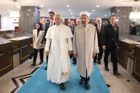 Vatikan Devlet Başkanı Papa 14