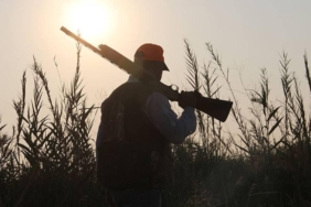 Yaban keçisi avlayan kişiye 658 bin lira ceza