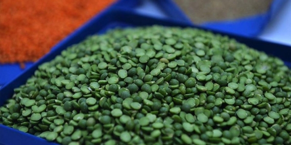 Yeşil mercimek ve yulaf ithalatında gümrük vergileri indirildi