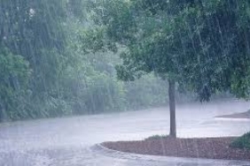 Yurtta Sağanak ve Gök Gürültülü Yağış