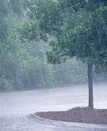 Yurtta Sağanak ve Gök Gürültülü Yağış