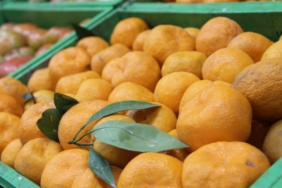 Zirai ilaç kalıntısı bulunan 6 bin 100 kilogram mandalina imha edildi