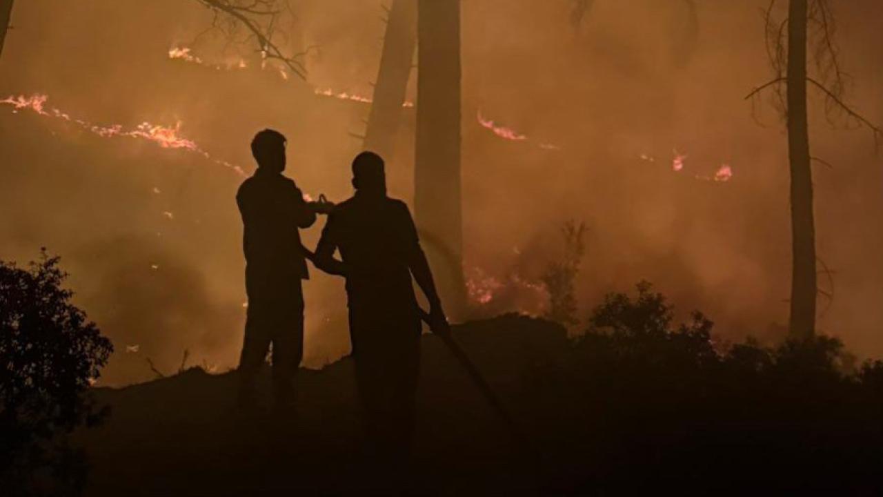 Adana'da orman yangını çıkaran sanığın en az 10 yıl hapsi istendi