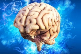 Beyin yaşlandıkça neden yorgun düşüyor? Kanada'dan çarpıcı veriler