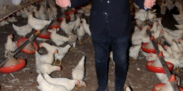 Coşkun Sabah yumurta işinden elini ayağını çekti