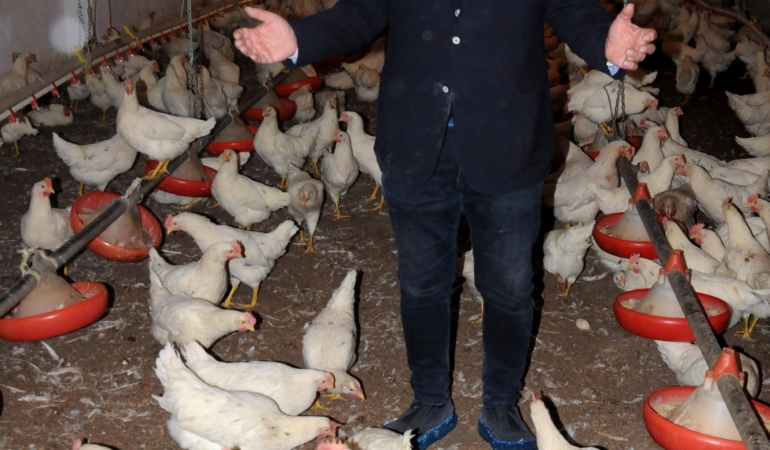 Coşkun Sabah yumurta işinden elini ayağını çekti