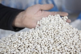 DMM, kuru fasulye krizi iddiasını yalanladı