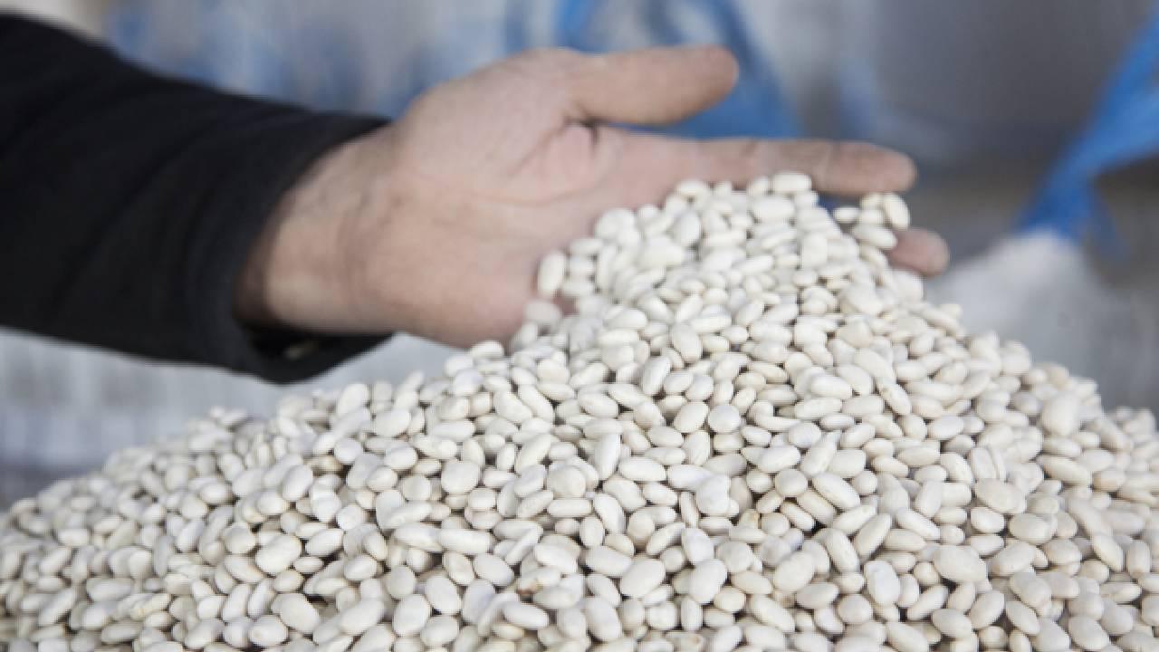 DMM, kuru fasulye krizi iddiasını yalanladı